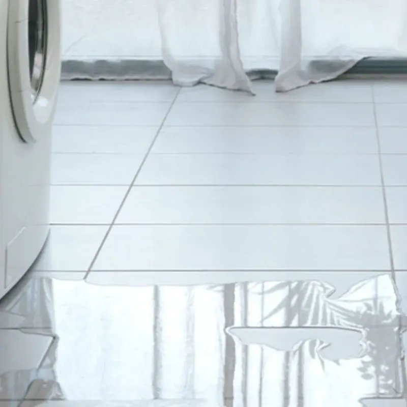 Appliance Leak Cleanup in Kilmanagh, MI