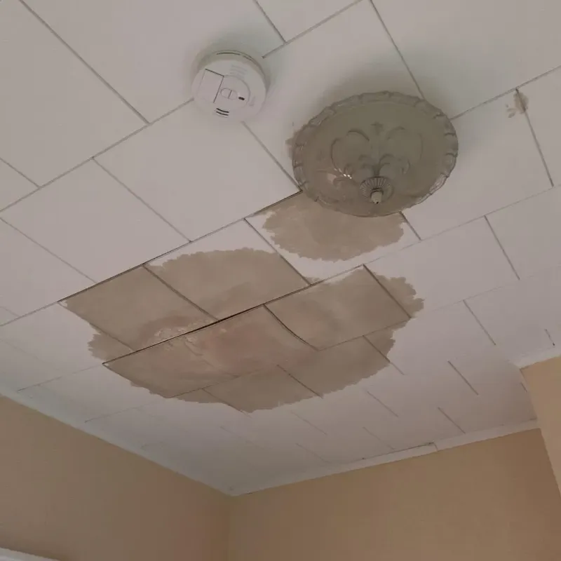 Ceiling Water Damage Repair in Kilmanagh, MI