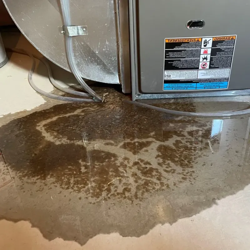 Pipe Burst and Leak Restoration in Kilmanagh, MI