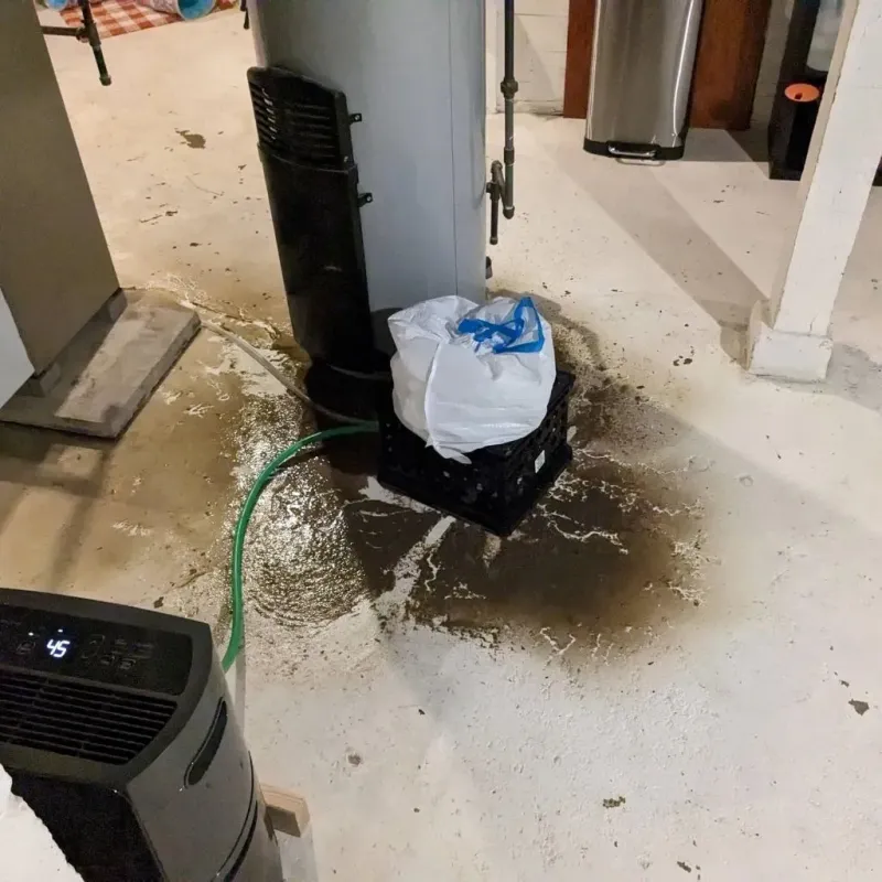 Sewage Backup Cleanup Service in Kilmanagh, MI